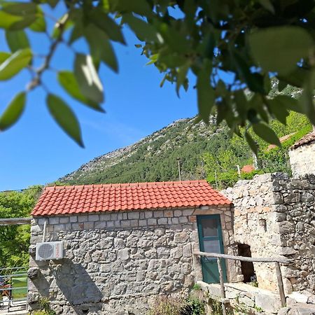 Cottage Melita The Apartment For Animal Lovers Babino Polje ภายนอก รูปภาพ
