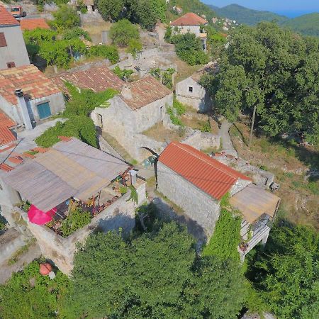 Cottage Melita The Apartment For Animal Lovers Babino Polje ภายนอก รูปภาพ