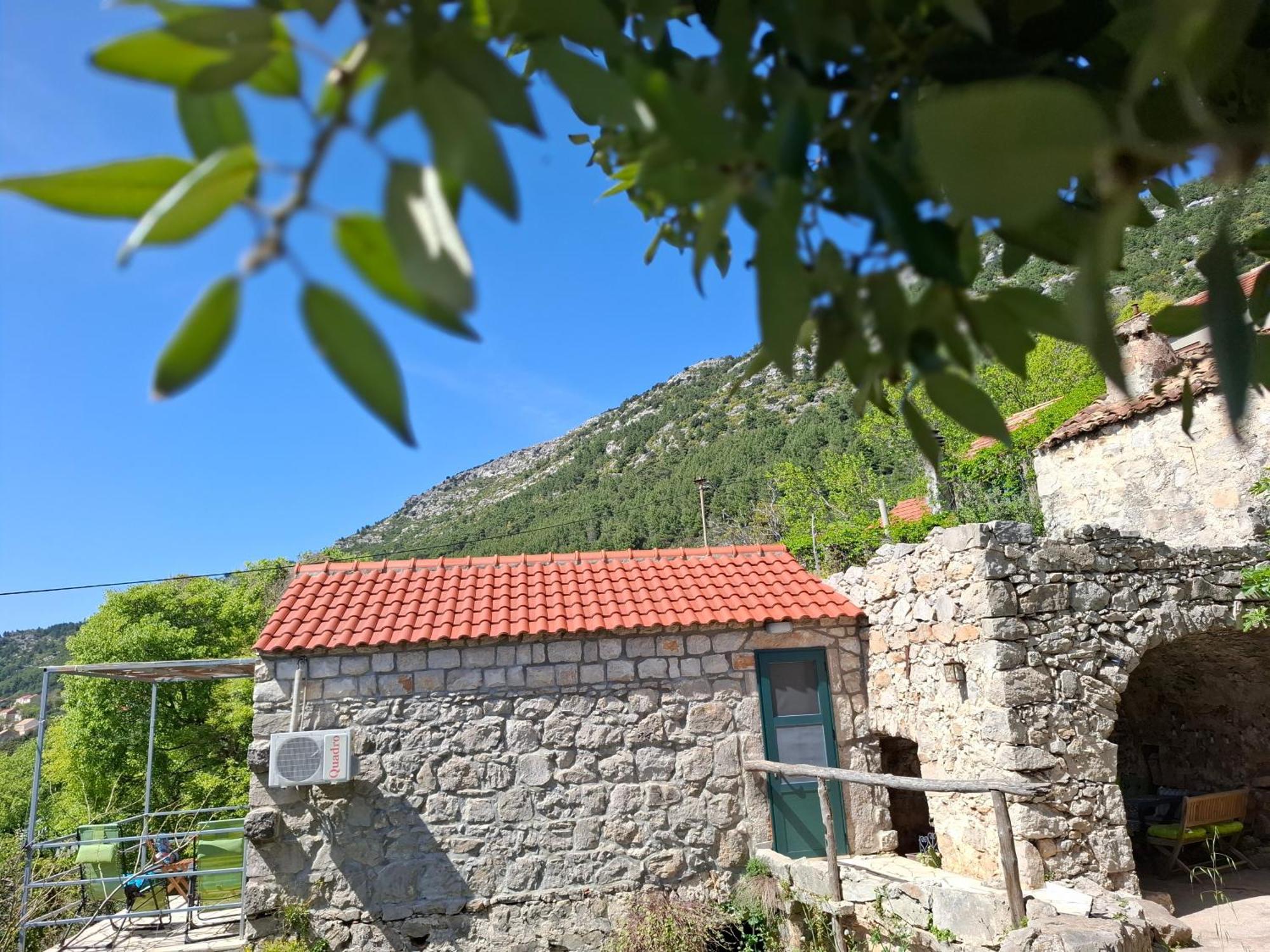 Cottage Melita The Apartment For Animal Lovers Babino Polje ภายนอก รูปภาพ