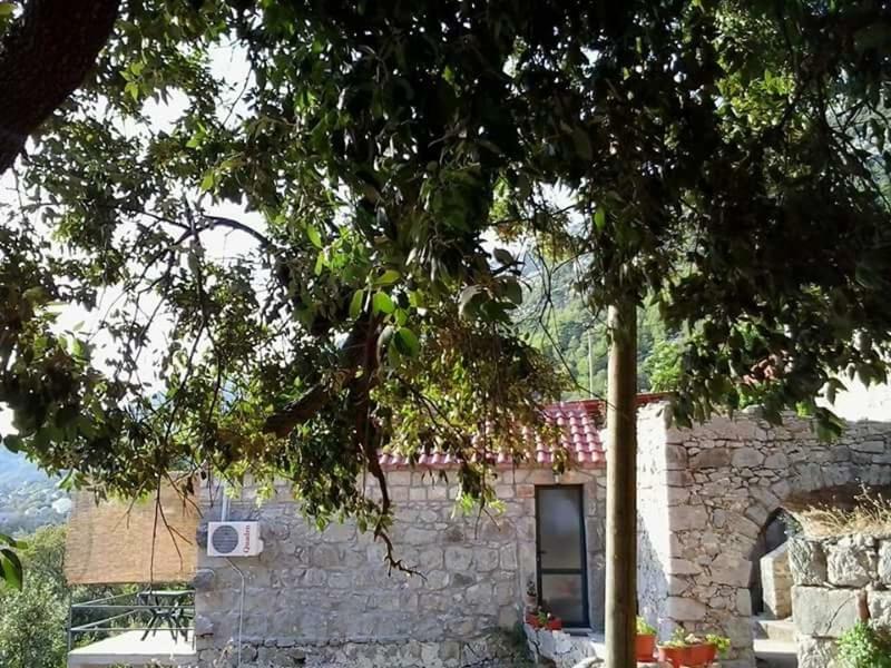 Cottage Melita The Apartment For Animal Lovers Babino Polje ภายนอก รูปภาพ