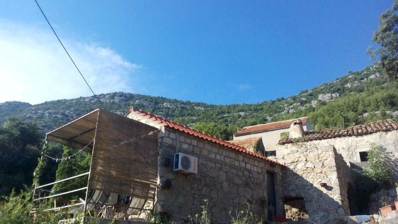 Cottage Melita The Apartment For Animal Lovers Babino Polje ภายนอก รูปภาพ