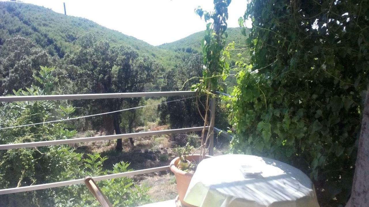 Cottage Melita The Apartment For Animal Lovers Babino Polje ภายนอก รูปภาพ