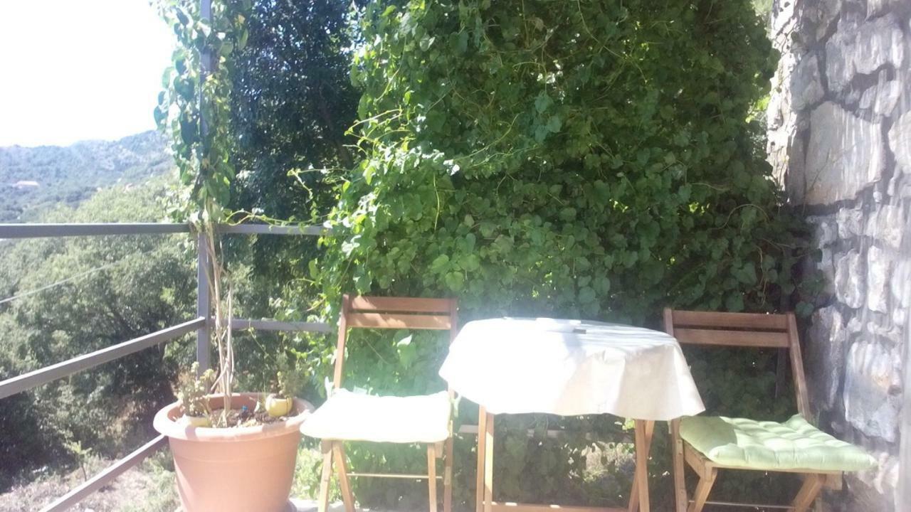 Cottage Melita The Apartment For Animal Lovers Babino Polje ภายนอก รูปภาพ