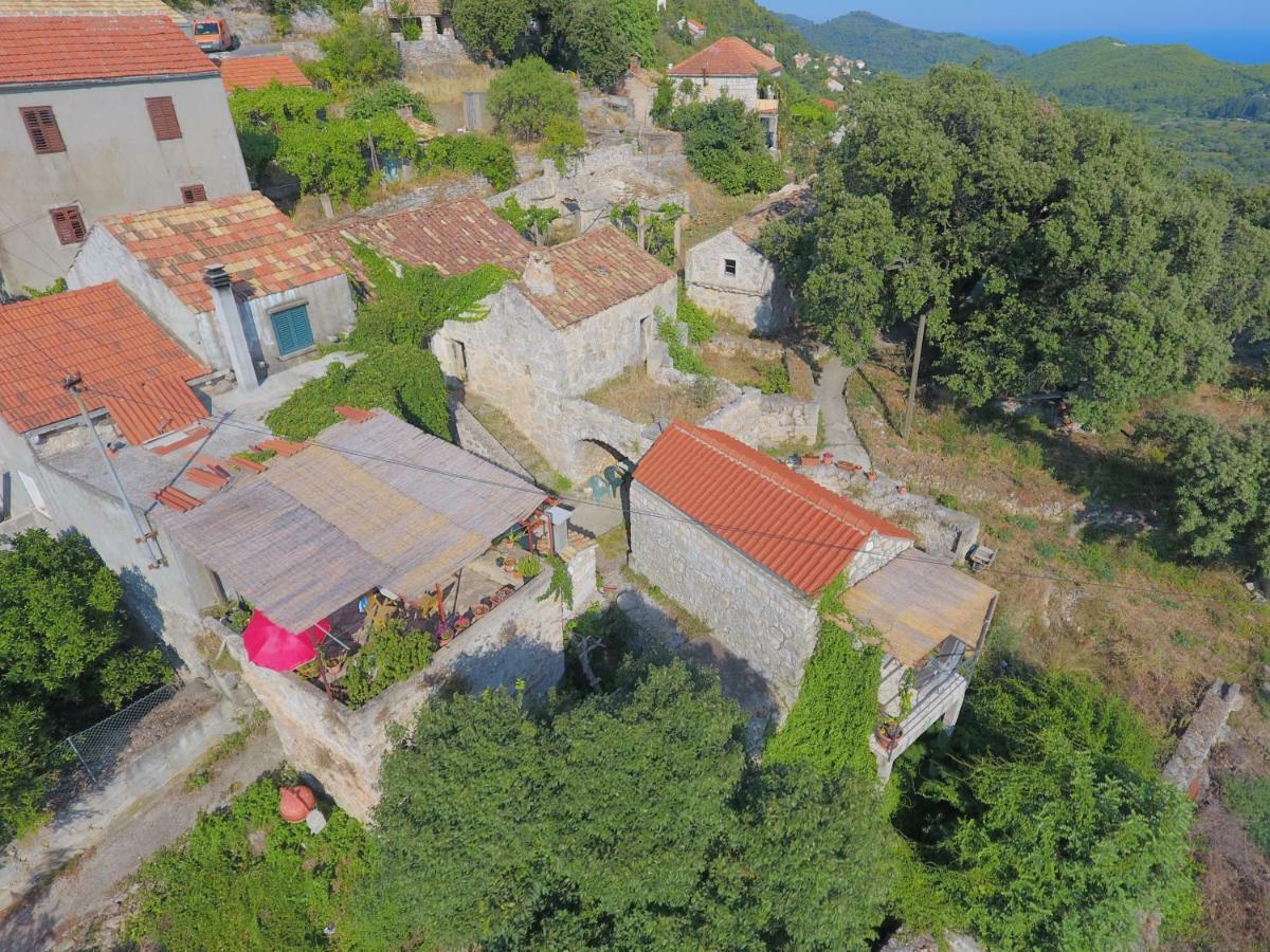 Cottage Melita The Apartment For Animal Lovers Babino Polje ภายนอก รูปภาพ