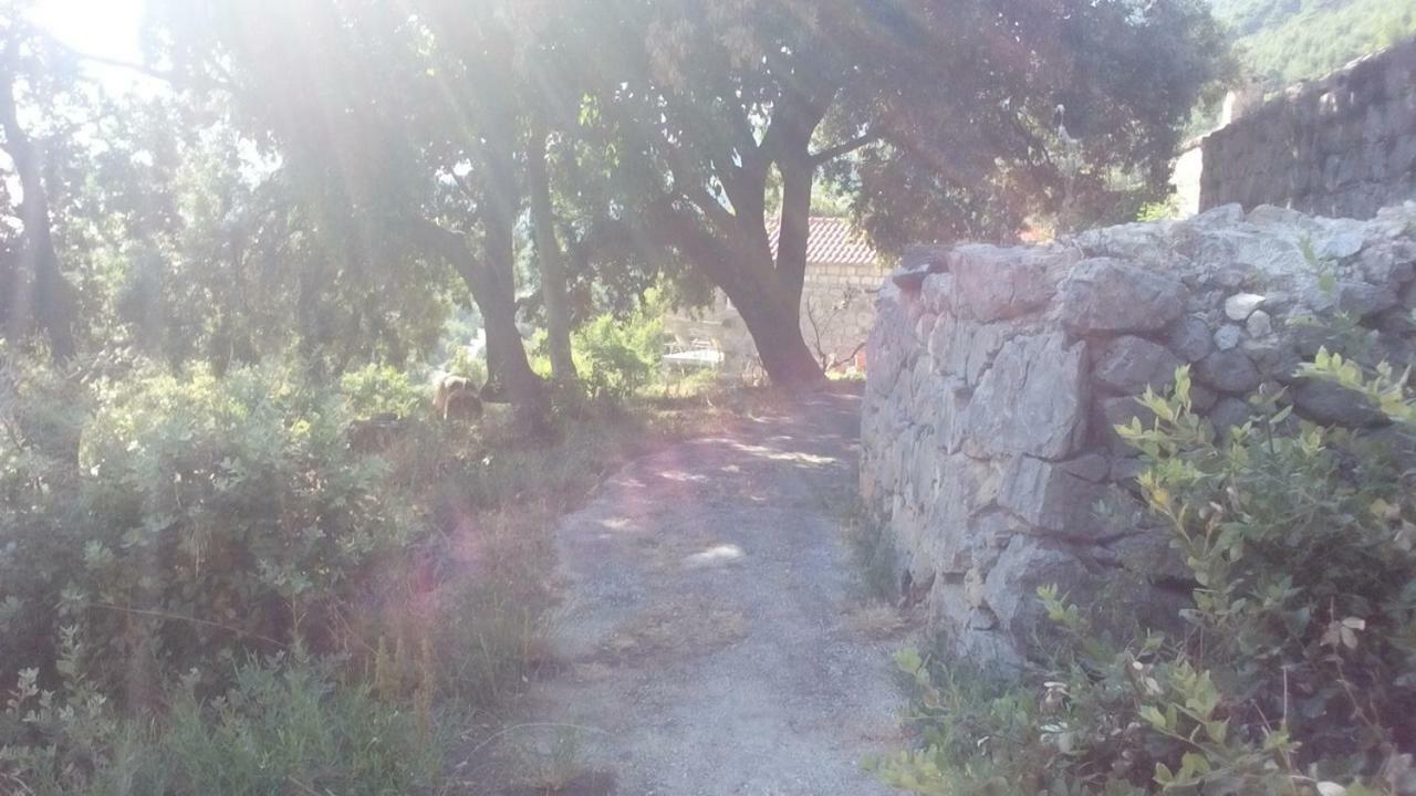 Cottage Melita The Apartment For Animal Lovers Babino Polje ภายนอก รูปภาพ