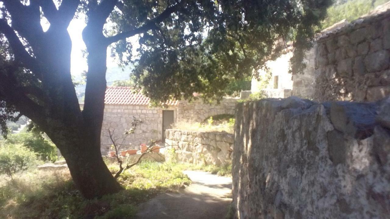 Cottage Melita The Apartment For Animal Lovers Babino Polje ภายนอก รูปภาพ