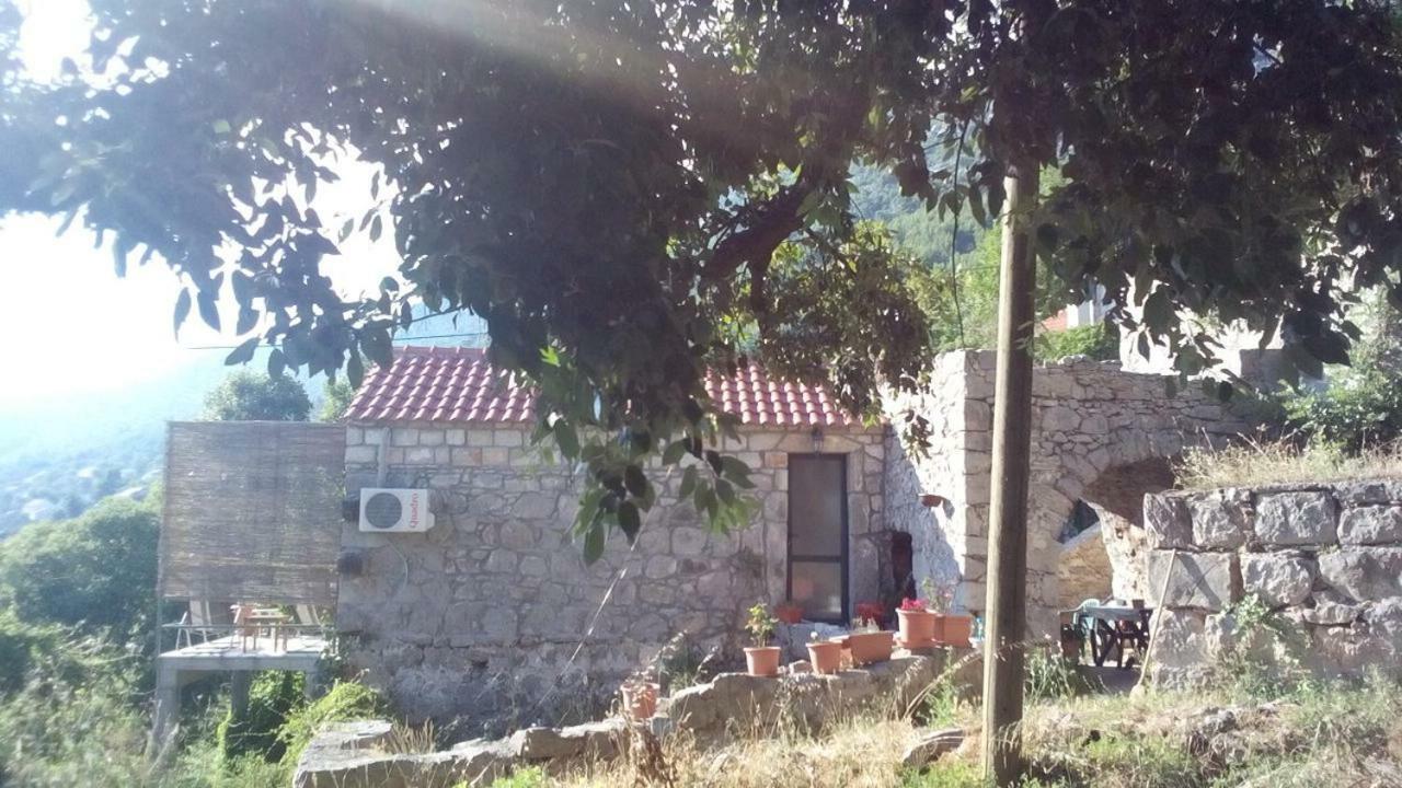 Cottage Melita The Apartment For Animal Lovers Babino Polje ภายนอก รูปภาพ