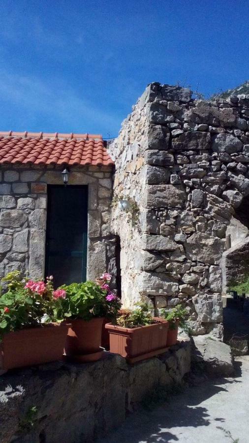 Cottage Melita The Apartment For Animal Lovers Babino Polje ภายนอก รูปภาพ