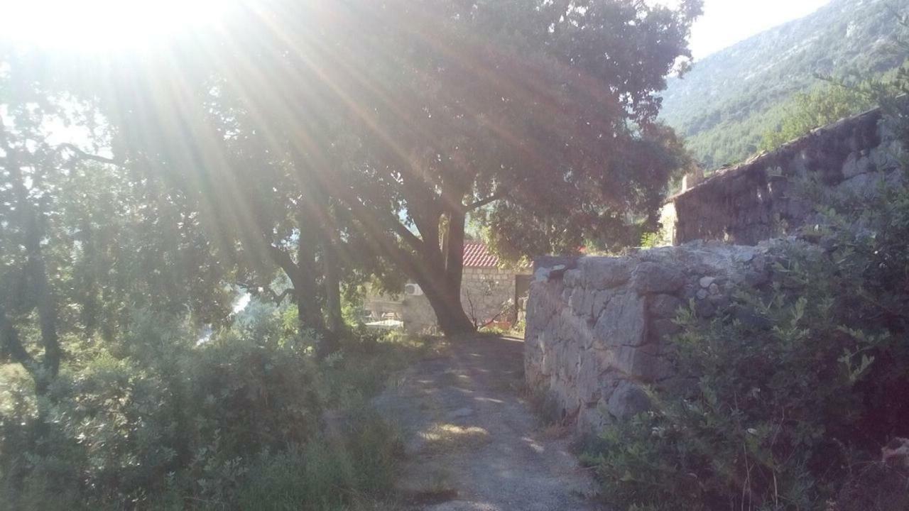 Cottage Melita The Apartment For Animal Lovers Babino Polje ภายนอก รูปภาพ