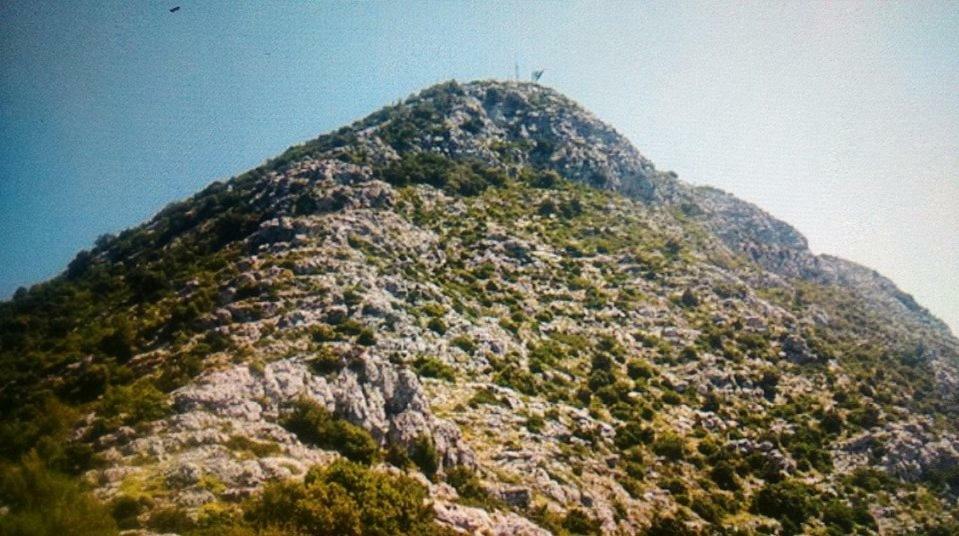 Cottage Melita The Apartment For Animal Lovers Babino Polje ภายนอก รูปภาพ