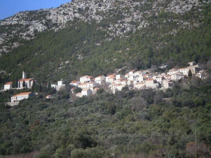 Cottage Melita The Apartment For Animal Lovers Babino Polje ภายนอก รูปภาพ
