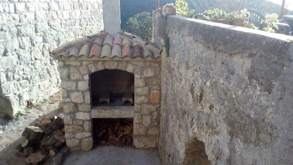Cottage Melita The Apartment For Animal Lovers Babino Polje ภายนอก รูปภาพ
