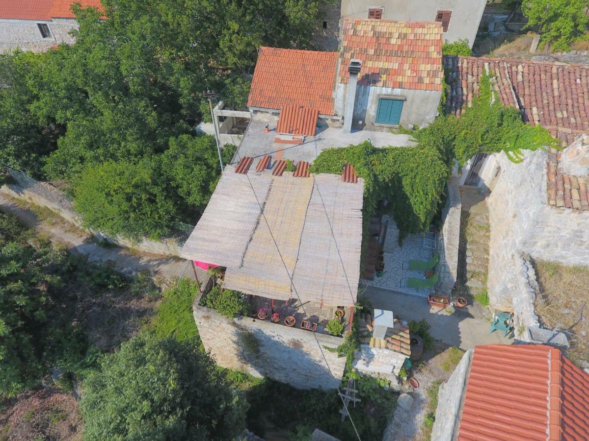 Cottage Melita The Apartment For Animal Lovers Babino Polje ภายนอก รูปภาพ