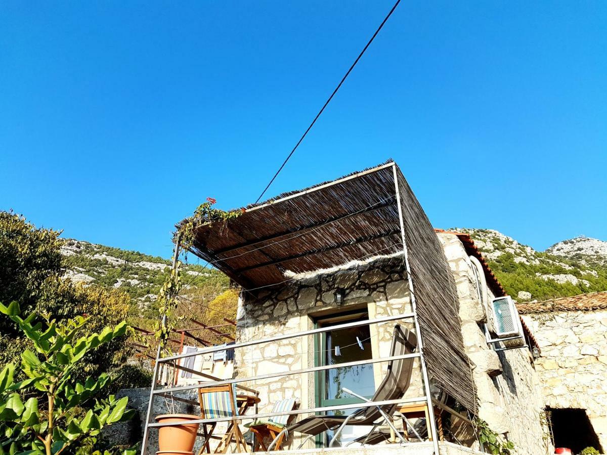 Cottage Melita The Apartment For Animal Lovers Babino Polje ภายนอก รูปภาพ