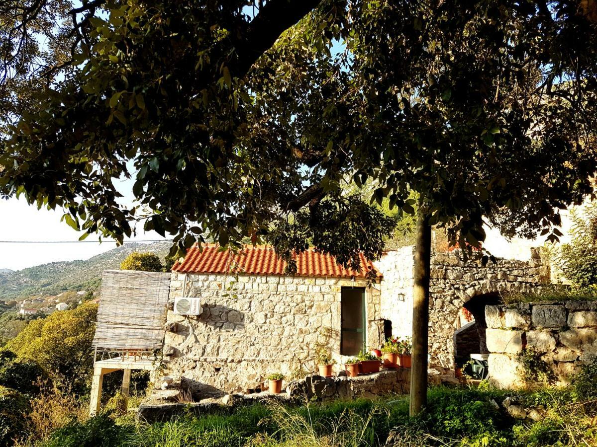 Cottage Melita The Apartment For Animal Lovers Babino Polje ภายนอก รูปภาพ