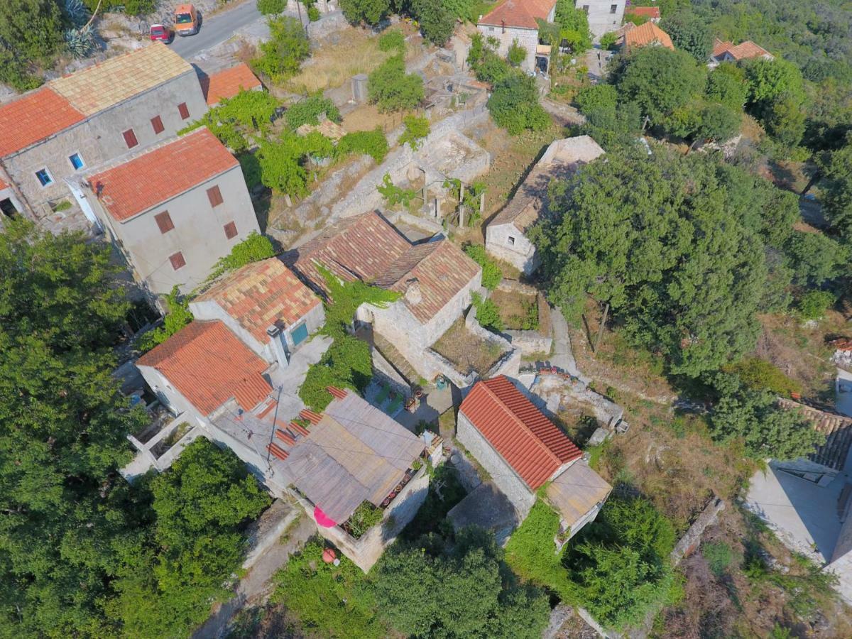 Cottage Melita The Apartment For Animal Lovers Babino Polje ภายนอก รูปภาพ